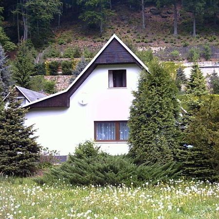 Ferienhaus Greti Stadt Wehlen Kültér fotó